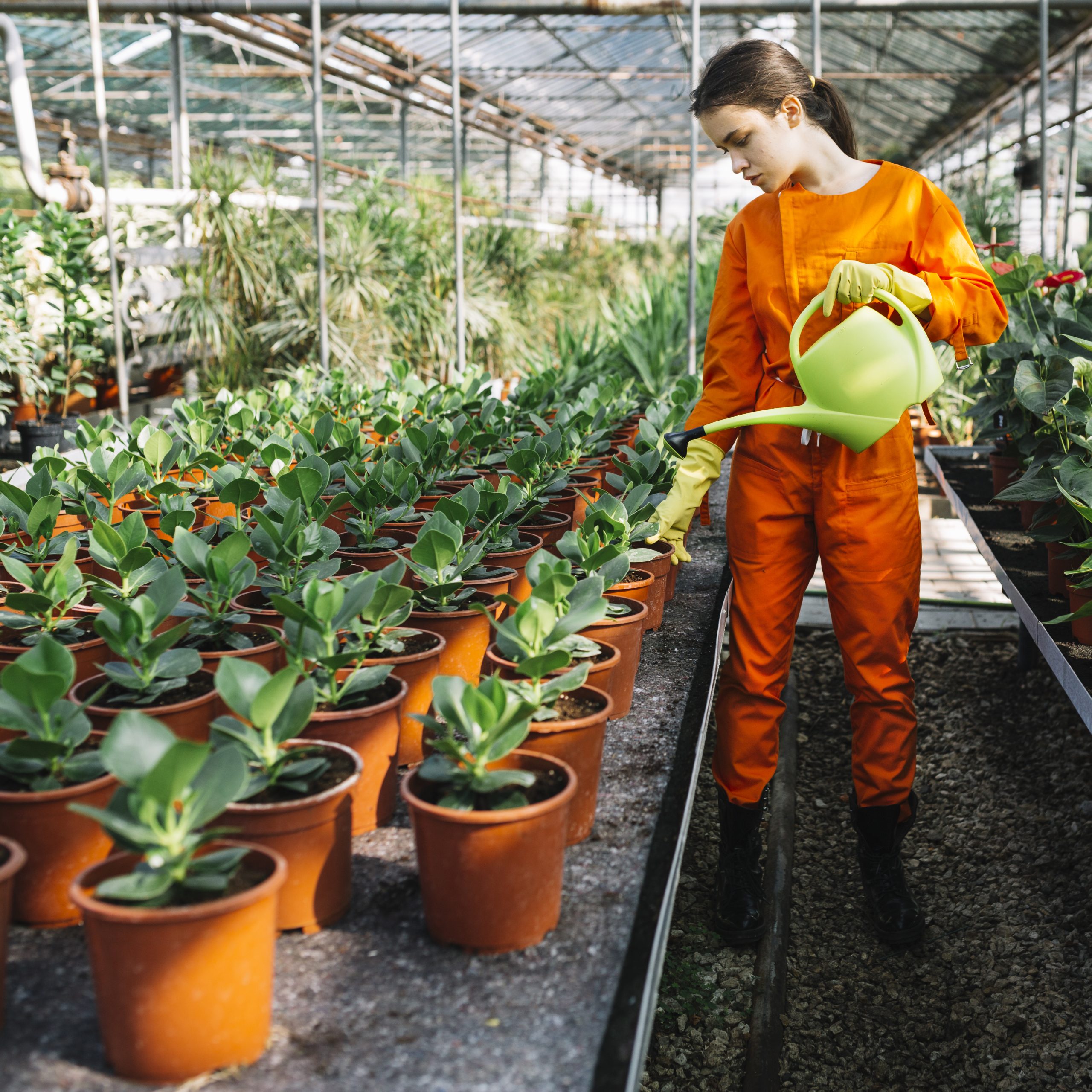 female gardener spraying water potted plants greenhouse scaled